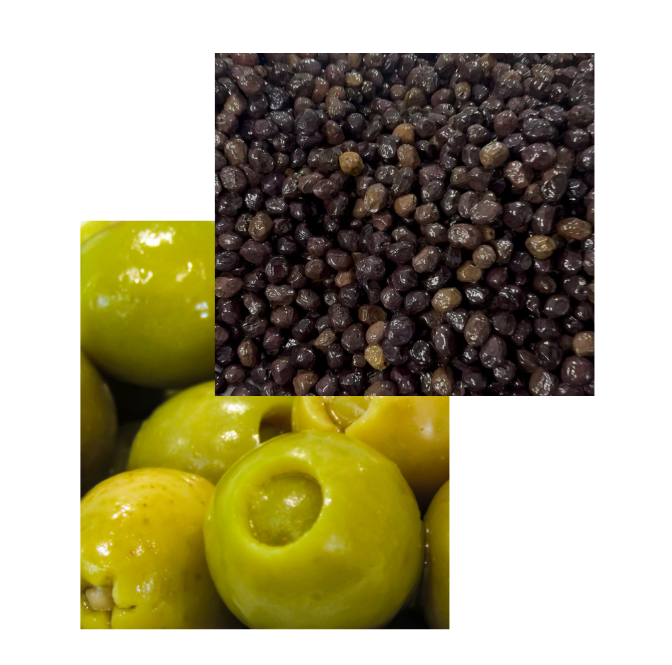 inan_zeytin_siyah_yesil